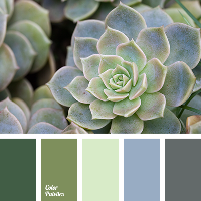 Color Palette #2264 | Color Palette Ideas