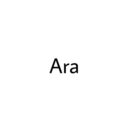 my gg Ara name text