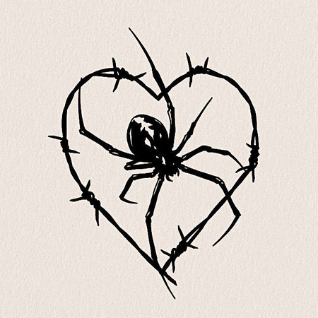 Spider heart