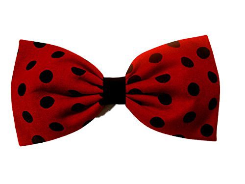 Amazon.com : Polka Dots Hair Bow Collection (Red/Black "Lady Bug", Alligator Clip) : Beauty & Personal Care