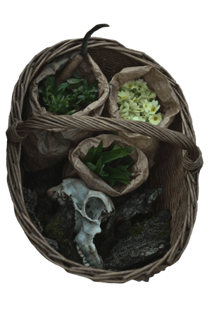 flowers & bones basket