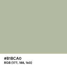 sage green background - Google Search