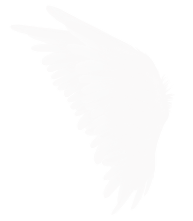 angel wings white feathers png