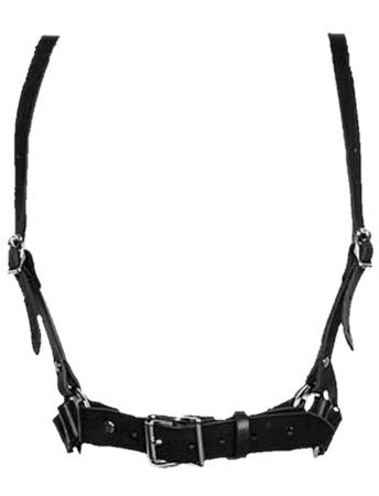 Harness PNG
