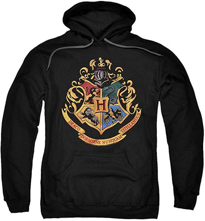 Amazon.com: Popfunk Harry Potter Hogwarts Logo Pull-Over Hoodie Sweatshirt & Stickers (X-Large): Clothing