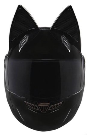 cat helmet