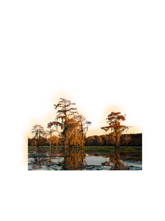 sunset bayou swamp png background southern