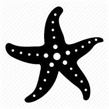 black starfish png - Google Search