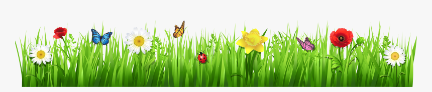 Spring Grass With Flowers Png Clipart Picture - Spring Grass And Flowers, Transparent Png - kindpng