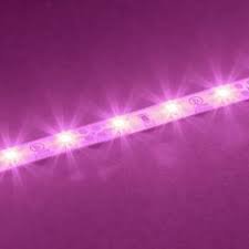 pink led light roll - Google Search