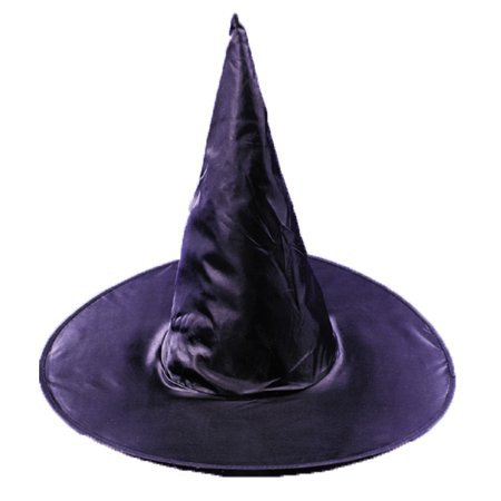 Adult Taffeta Witch Hat Adult Halloween Accessory - Walmart.com