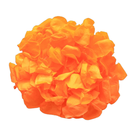 Orange rose petals for wedding confetti / decoration. Preserved rose petals, biodegradable 1L