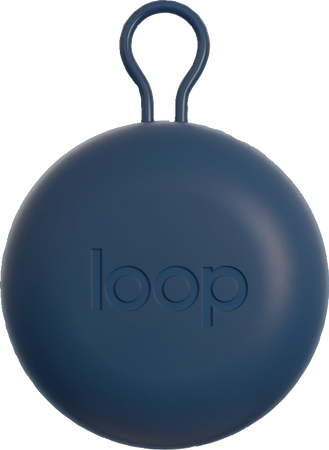 blue loop earplugs case