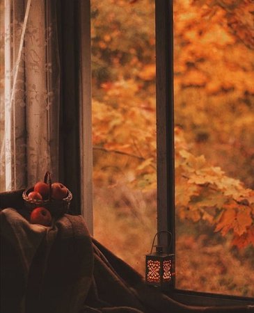 fall aesthetic