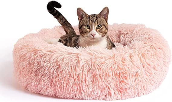 Best Friends by Sheri The Original Calming Donut Cat and Dog Bed in Shag Fur Cotton Candy Pink, Small 23x23 : Pet Supplies