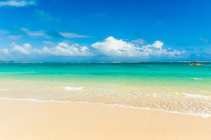 hawaii beach water - Google Search