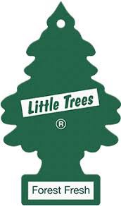 little tree - Google Search