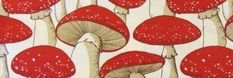 mushroom backround
