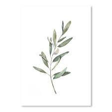 Americanflat Olive Branch By Cami Monet Poster : Target