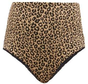 Lydia Leopard Print High Rise Bikini Briefs - Womens - Leopard