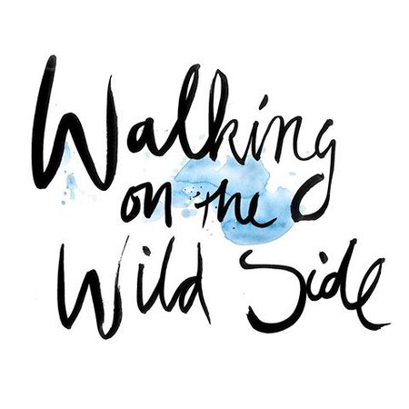 Walking on the Wild Side - Home | Facebook