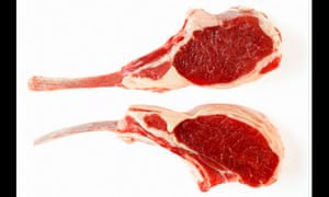 Can we stomach a raw meat mono-diet? | Life and style | The Guardian