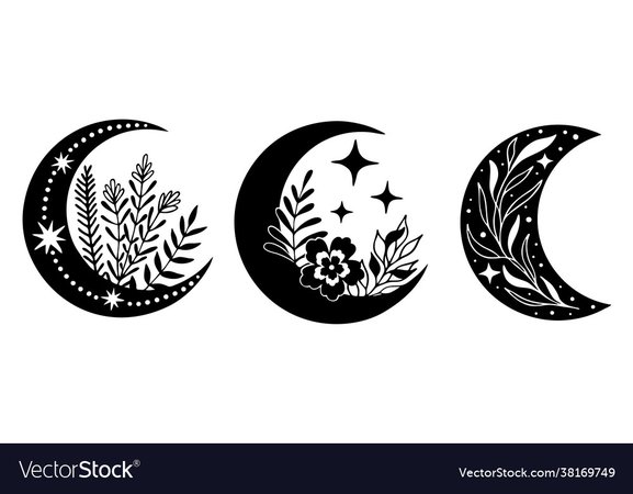 Set magic black moons with stars and flowers on Vector Image