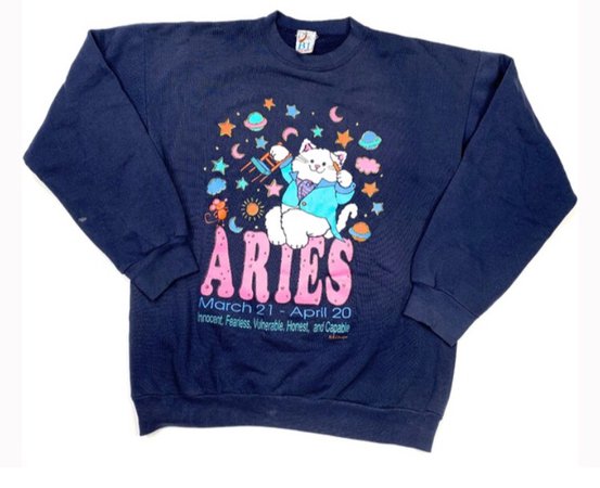 Aries cat sweater