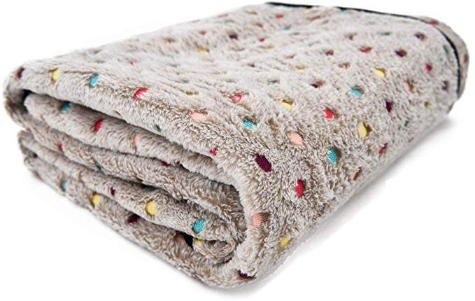 PAWZ Road Pet Dog Blanket Fleece Fabric Soft and Cute Grey L: Amazon.ca: Pet Supplies