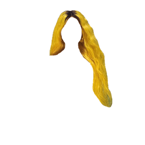 Yellow Hair PNG