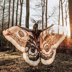 brown costume moth wings