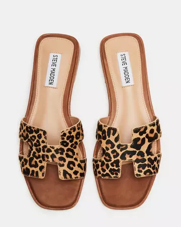 HADYN Leopard Sandal | Women's Designer Sandals – Steve Madden