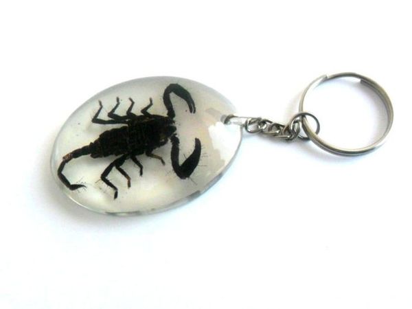 scorpion keychain