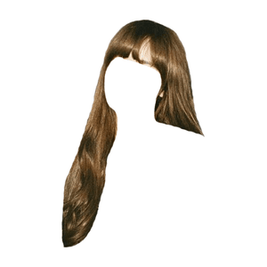 Brown Hair Bangs