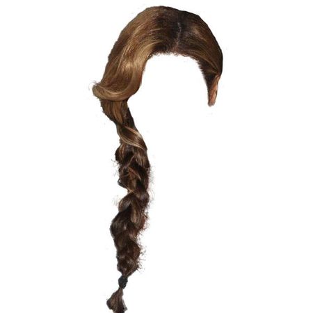 brown hair side braid
