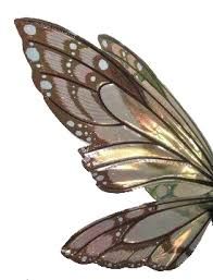 fairy grunge wing png