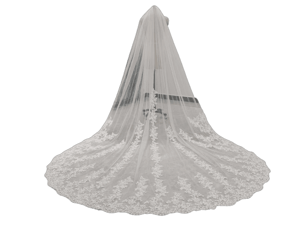 Lace Applique Wedding Veil Lace Edge Trim Bridal Veil One Layer Cathedral Veil White Or Ivory Wedding Veil With Comb
