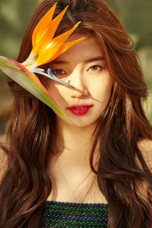 Suzy bae photoshoot - Google Search