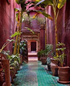 morocco aesthetic tumblr blue pink