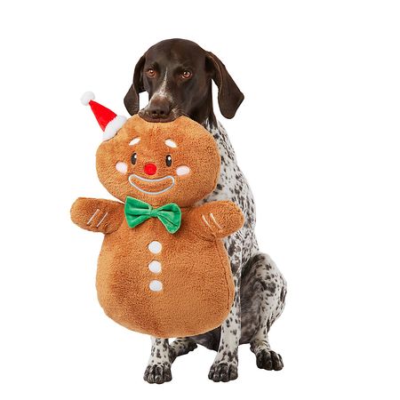 Merry & Bright&trade; Holiday X-Large Plush Gingerbread Man Dog Toy - Squeaker | dog Plush Toys | PetSmart