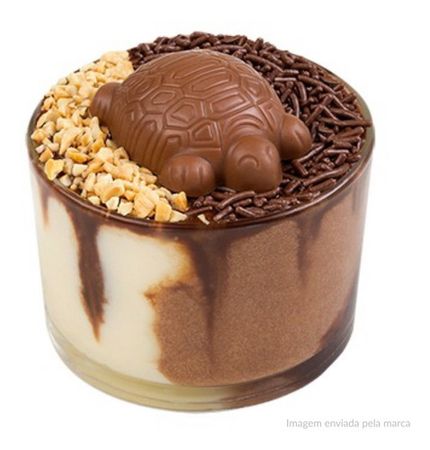 chocolate turtle 🐢 pudding 🍮