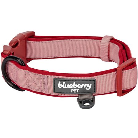 Blueberry PetClassic Neoprene Padded Dog Collar