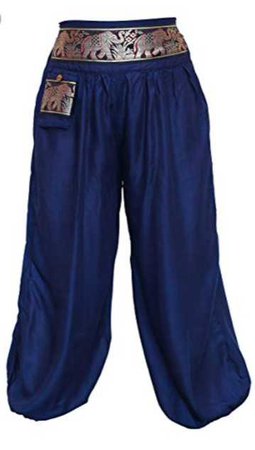 Blue Harem pants