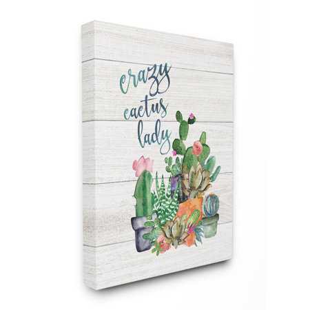 The Stupell Home Decor Collection Crazy Cactus Lady Oversized Stretched Canvas Wall Art, 24 x 1.5 x 30 - Walmart.com