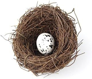 Amazon.com: Bird Nest