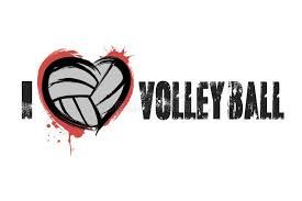 I love volleyball - Google Search
