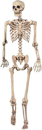 SHATCHI Decoración de Halloween, Esqueleto Posible, decoración de la Vida, tamaño 165 cm, para Fiestas, Paseos: Amazon.es: Juguetes y juegos