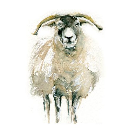 sheep art - Google Search