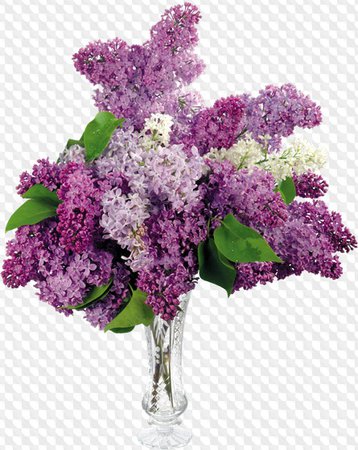 Vase Of Lilacs
