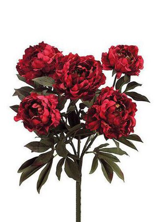 single maroon roses - Google Search
